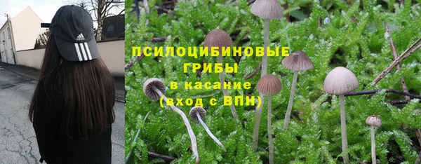 дмт Абинск