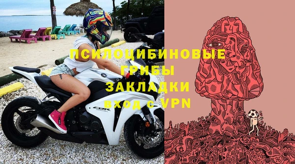 прущие грибы Бутурлиновка