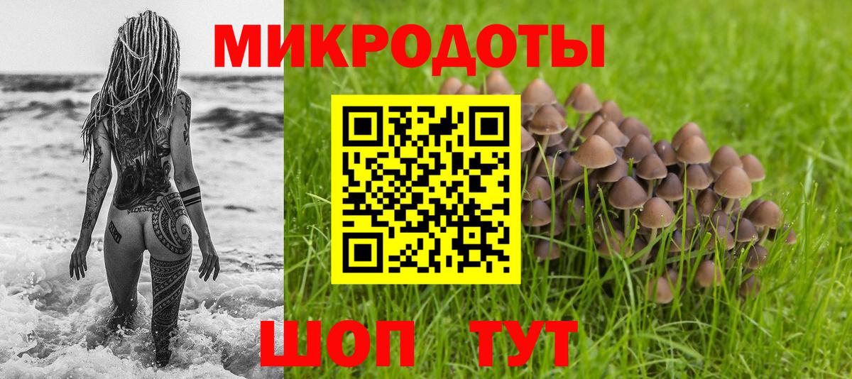 Галлюциногенные грибы Psilocybe  Вход с VPN  Вичуга 